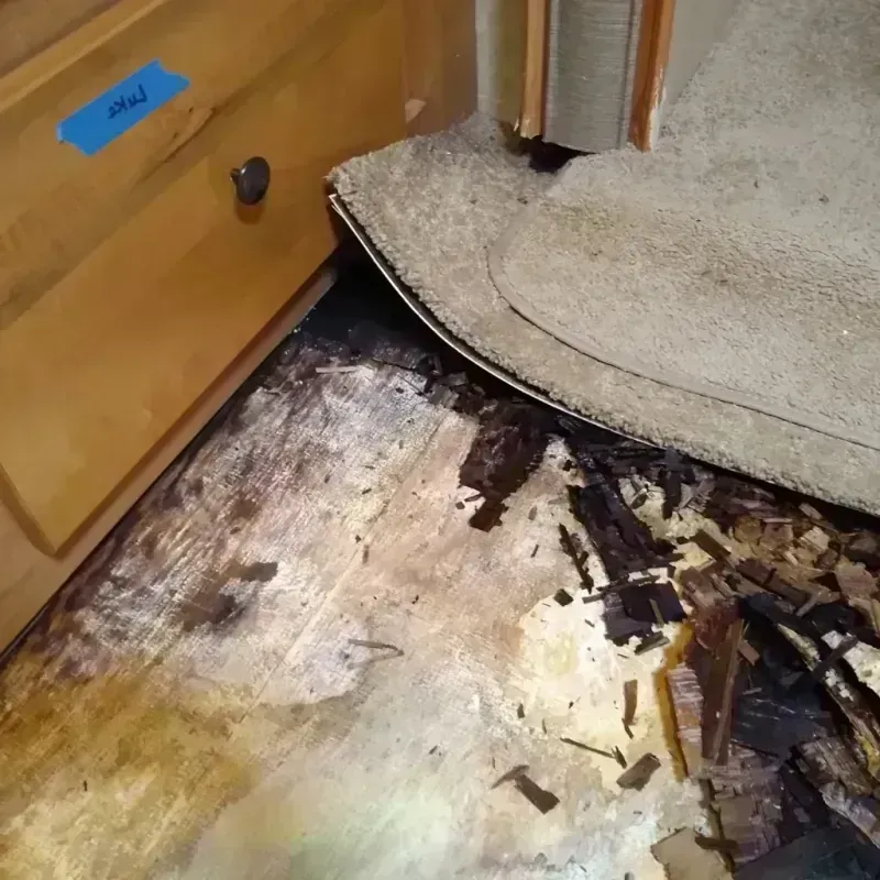 Wood Floor Water Damage in Jefferson County, AR